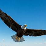 AUTHENTIC CHANGES THE WAY OF AN EAGLE SPIRITUAL POEMS